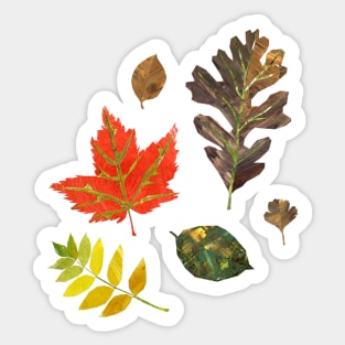 Leaves Sticker